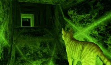 [NSZ] [小猫大营救2].Little Strays 2 美版中文+1.1.0补丁+1DLC